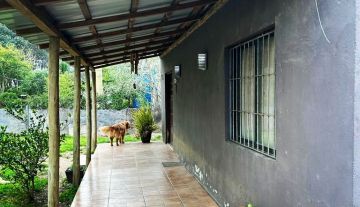/images/thumbs/portada_pinar_360x207.jpg
